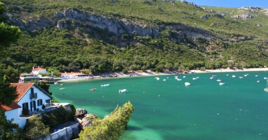 Arrábida Natural Park/Sesimbra: Dolphin Watching - Key points to know before you book