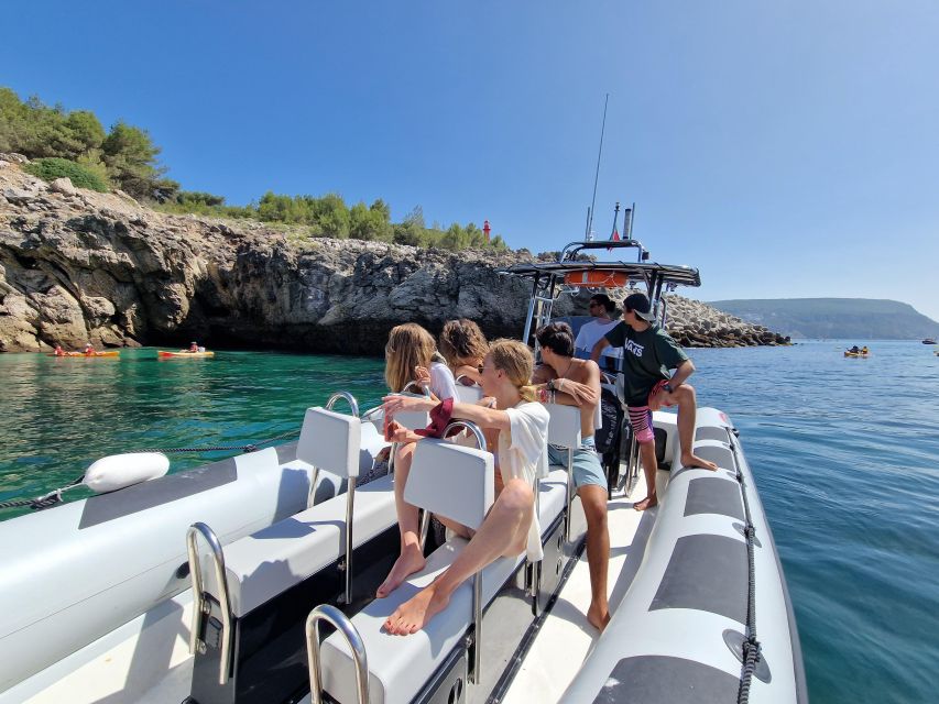 Arrábida Natural Park/Sesimbra: Dolphin Watching - Why dolphins are the real reason to go