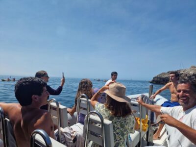 Arrábida Natural Park/Sesimbra: Dolphin Watching