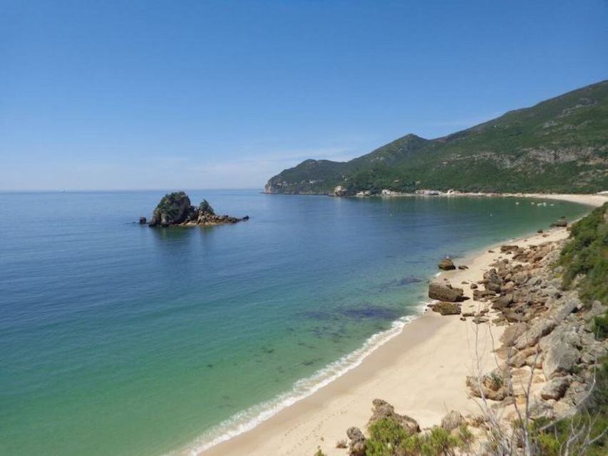 Arrábida Natural Park/Sesimbra: Dolphin Watching - Into Arrábida Natural Park