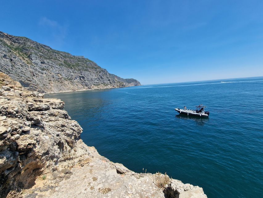 Arrábida Natural Park/Sesimbra: Dolphin Watching - Ninety minutes looking for wild dolphins