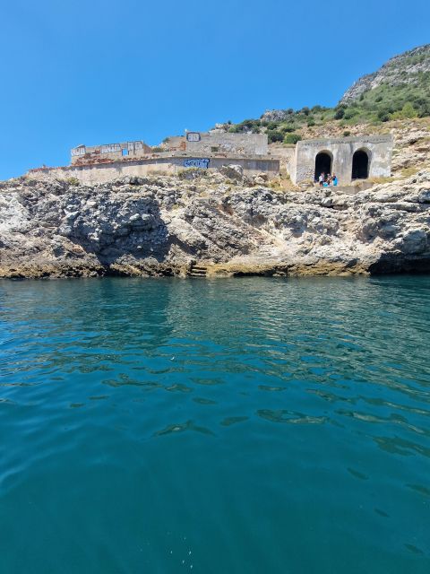 Arrábida Natural Park/Sesimbra: Dolphin Watching - Is the $70 price good value?