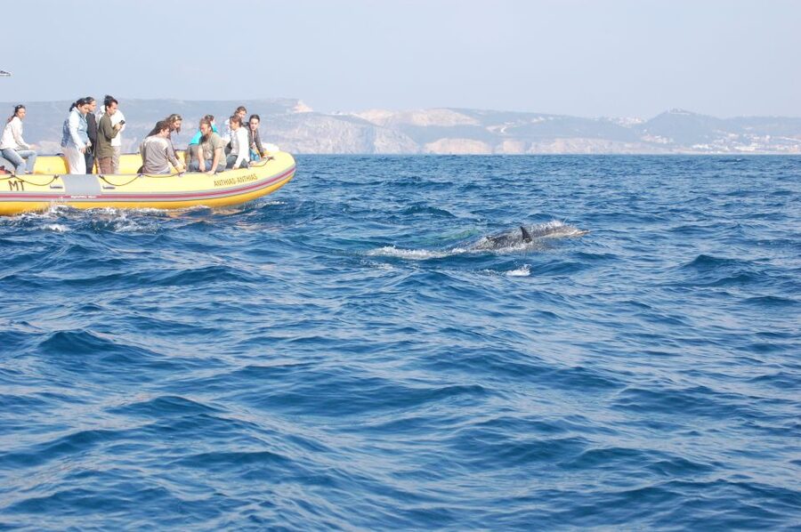 Arrábida - Sesimbra: Dolphin Watching - Leaving Sesimbra for the Arrábida coast