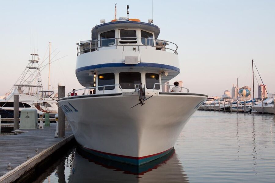 Atlantic City: Dolphin Watching Ocean Cruise Adventure - Booking and Arrival Advice