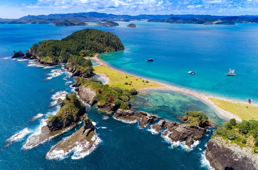 Auckland: Bay of Islands Day Tour with Dolphin Cruise - Key points to know before booking