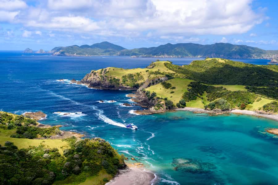 Auckland: Bay of Islands Day Tour with Dolphin Cruise - The long road north from Auckland