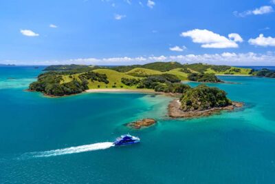Bay of Islands Day Tour with Dolphin Cruise