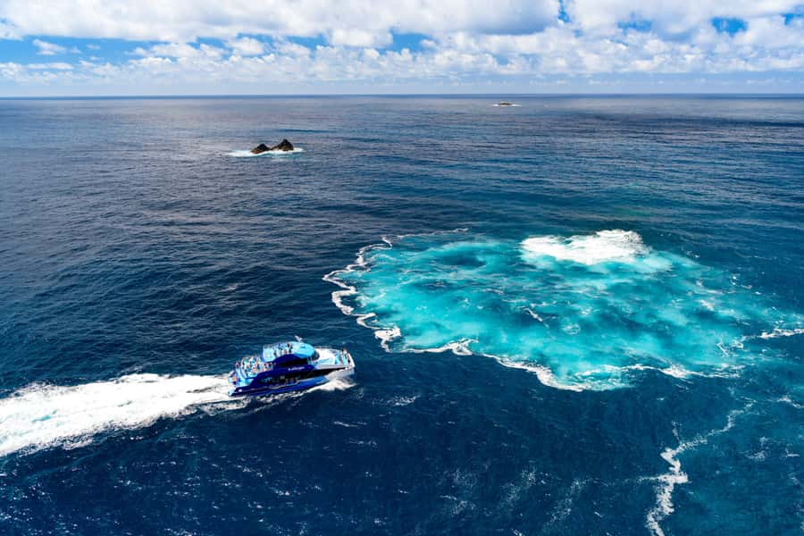 Auckland: Bay of Islands Day Tour with Dolphin Cruise - The return to Auckland is part of the bargain