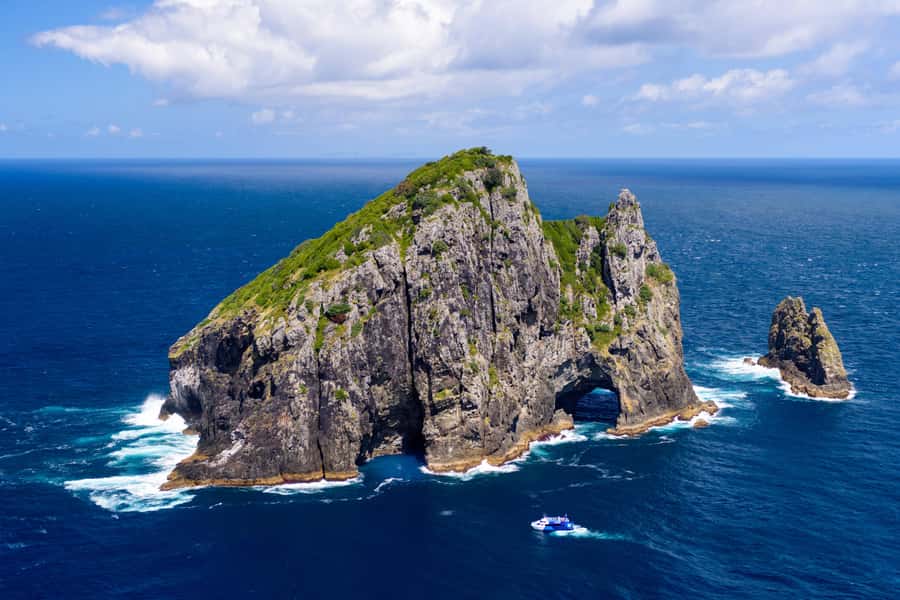 Auckland: Bay of Islands Day Tour with Dolphin Cruise - Practical ways to make the day better