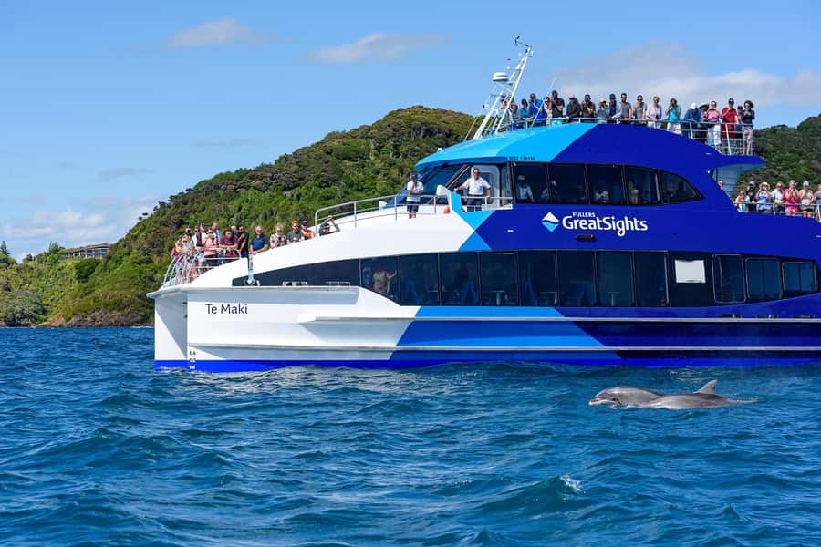 Auckland: Bay of Islands Day Tour with Dolphin Cruise - Should you book the Bay of Islands day tour?