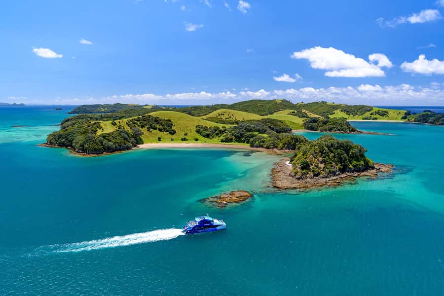 Auckland: Bay of Islands Day Tour with Dolphin Cruise - Paihia and the three-hour Bay of Islands cruise