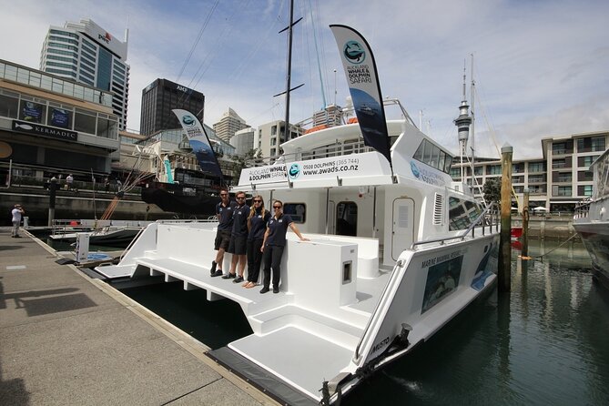 Auckland Dolphin and Whale Watching Eco-Safari Cruise - Crossing the Hauraki Gulf Marine Park