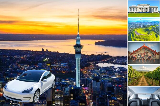 Auckland: Tikapa Moana Dolphin, Whale and Island Cruise - Man O’ War Vineyards: a slower island afternoon