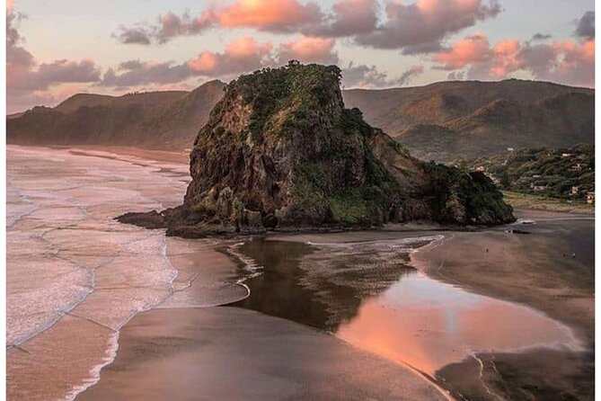 Auckland: Tikapa Moana Dolphin, Whale and Island Cruise - Booking, weather, and timing tips