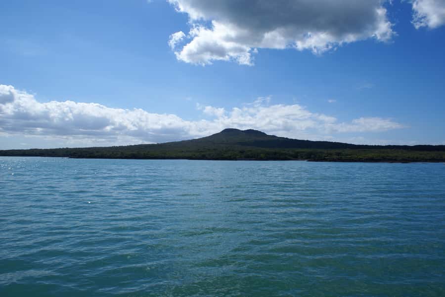 Auckland: Tikapa Moana Whales, Dolphins and Islands Cruise - Man O’ War Vineyard: a food and wine pause