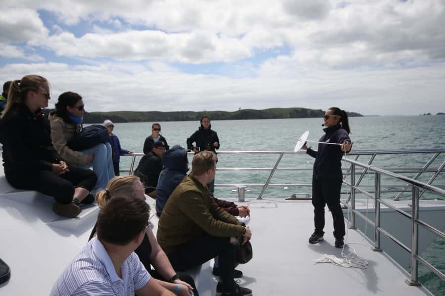 Auckland: Whale and Dolphin Watching Half-Day Eco Cruise - Key points to know before booking