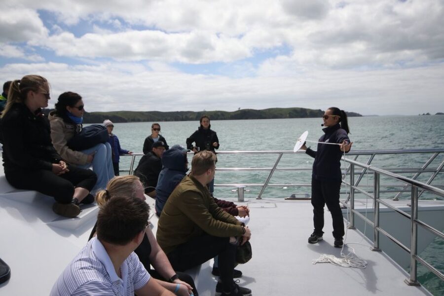 Auckland: Whale and Dolphin Watching Half-Day Eco Cruise - Should you book the Dolphin Explorer?