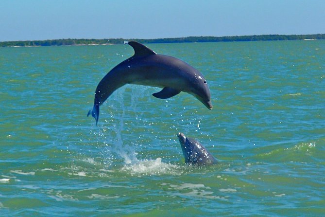 Avi's Premium Dolphin Tour by Jet Ski - What two hours feels like on a jet ski