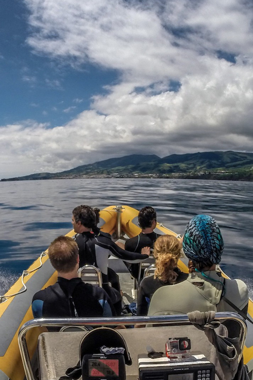 Azores: Swim with Dolphins Atlantic Experience - Who should book this experience
