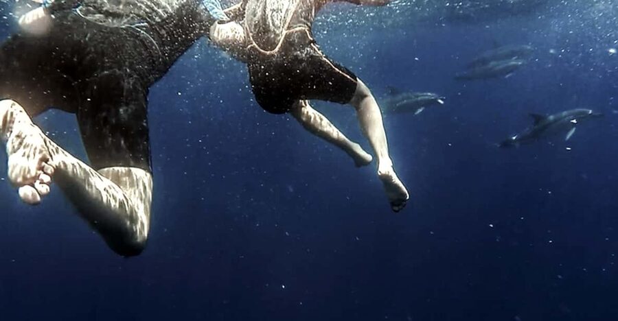 Azores: Swim with Dolphins Atlantic Experience - The briefing sets the tone
