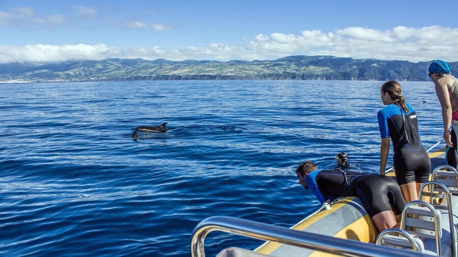 Azores: Swim with Dolphins Atlantic Experience - The Zodiac ride and the search at sea