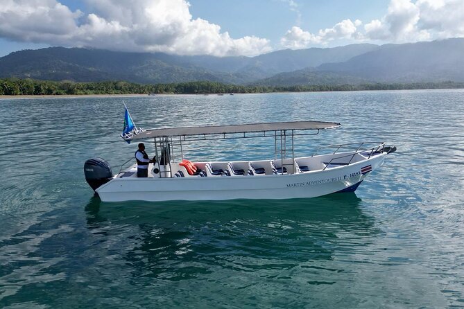 Bahia Ballena Whale and Dolphin Tour - Morning - Key things to know before you book
