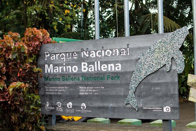 Bahia Ballena Whale and Dolphin Tour - Morning - Why this short Uvita boat trip works well