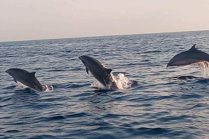 Bali and Lovina with Sunrise Dolphin Tour and Snorkeling - Key points at a glance