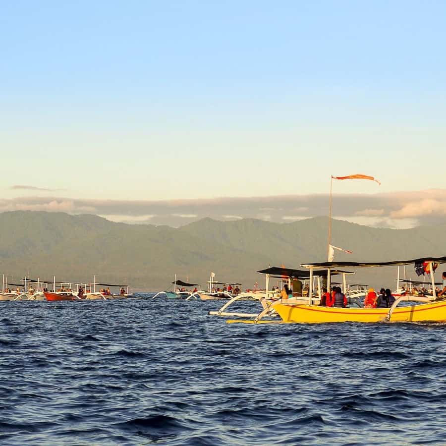 Bali Bliss: Dolphin Lovina Private Expedition - FAQ