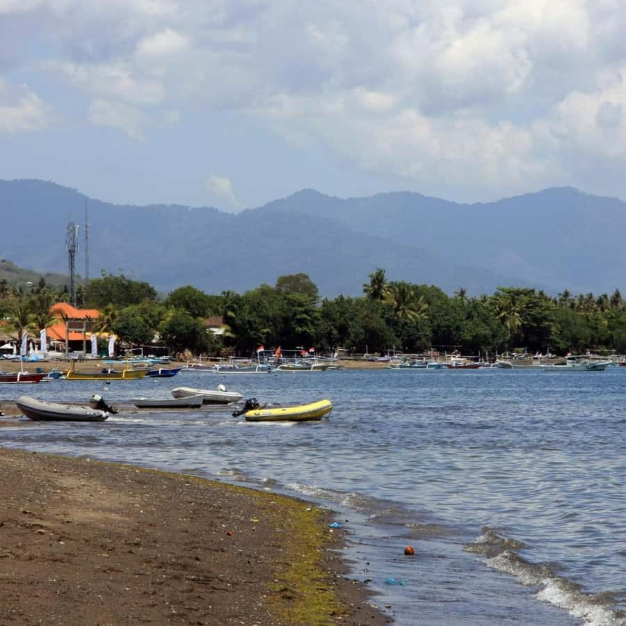 Bali Bliss: Dolphin Lovina Private Expedition - Who should book this Bali day trip?