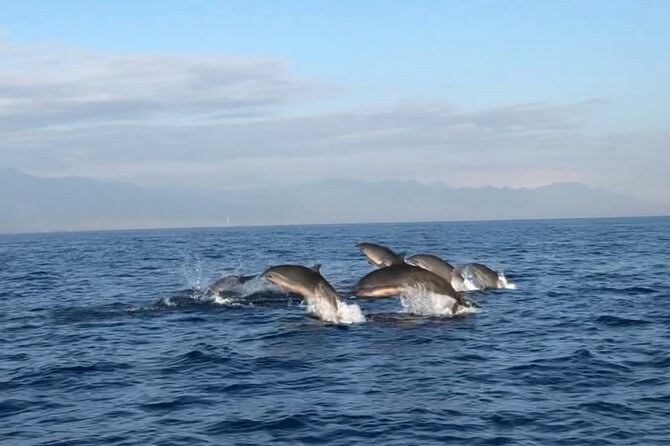 Bali Dolphin Lovina tour and Ulundanu Beratan - Why the 3:30 am departure matters