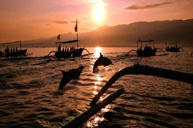 Bali Dolphin Lovina tour and Ulundanu Beratan - The private driver makes the long route easier