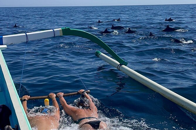 Bali : Dolphin Sunrise Experience Tour Private All Inclusive - Why this North Bali day is worth considering