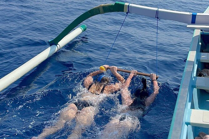 Bali : Dolphin Sunrise Experience Tour Private All Inclusive - Leaving Ubud before dawn for Lovina