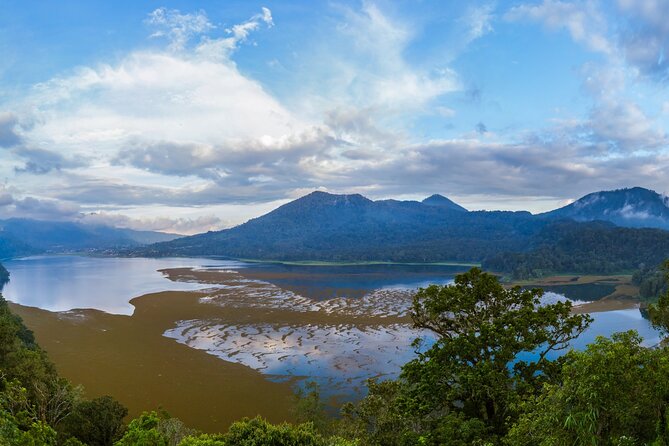 Bali : Dolphin Sunrise Experience Tour Private All Inclusive - The optional Luwus coffee stop