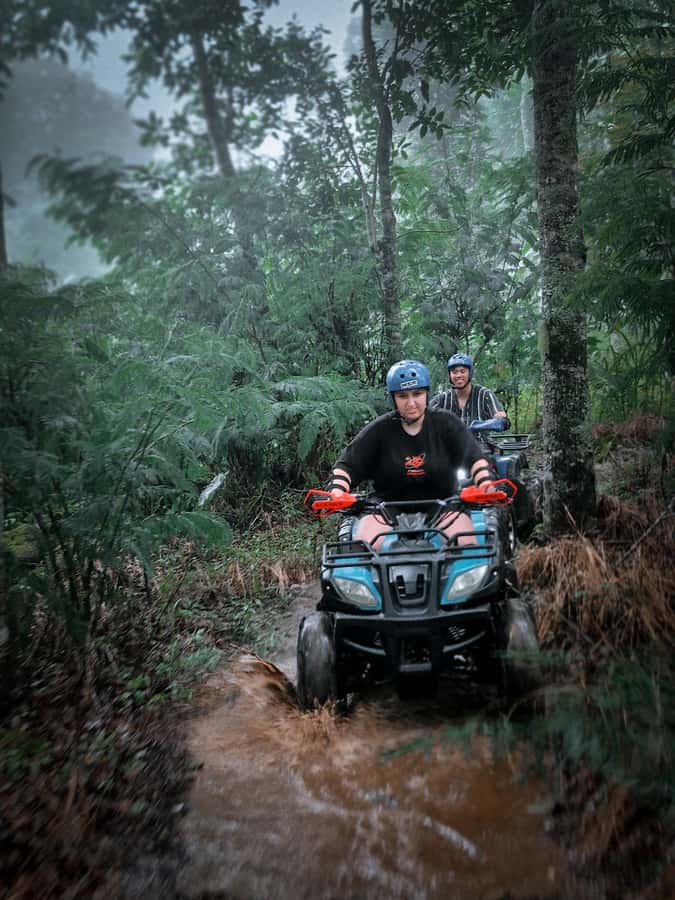 Bali: Dolphin Swimming Tour with ATV Quad Bike & Waterfall - A natural pool, flowers, and a coffee break