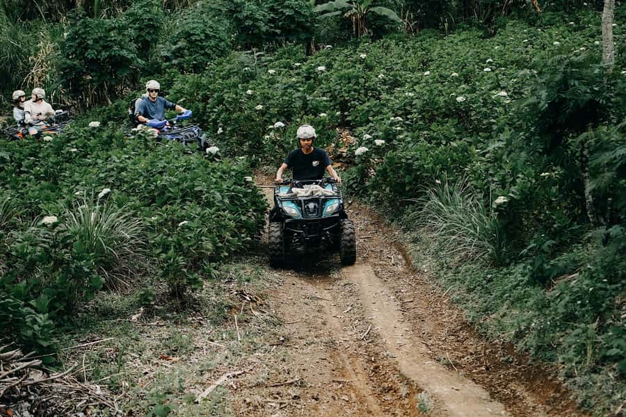 Bali: Dolphin Swimming Tour with ATV Quad Bike & Waterfall - Guides, drivers, and the human side of the tour