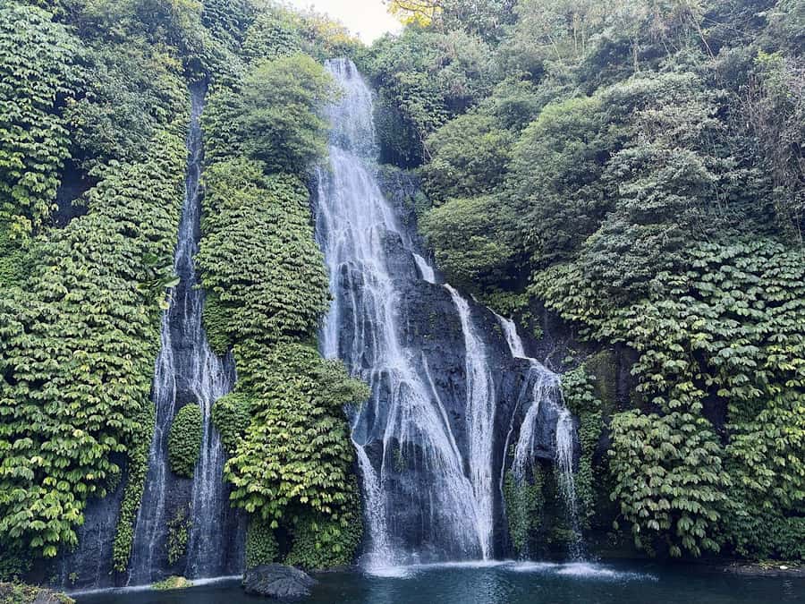 Bali: Dolphin Swimming Tour with ATV Quad Bike & Waterfall - What to pack and what to expect