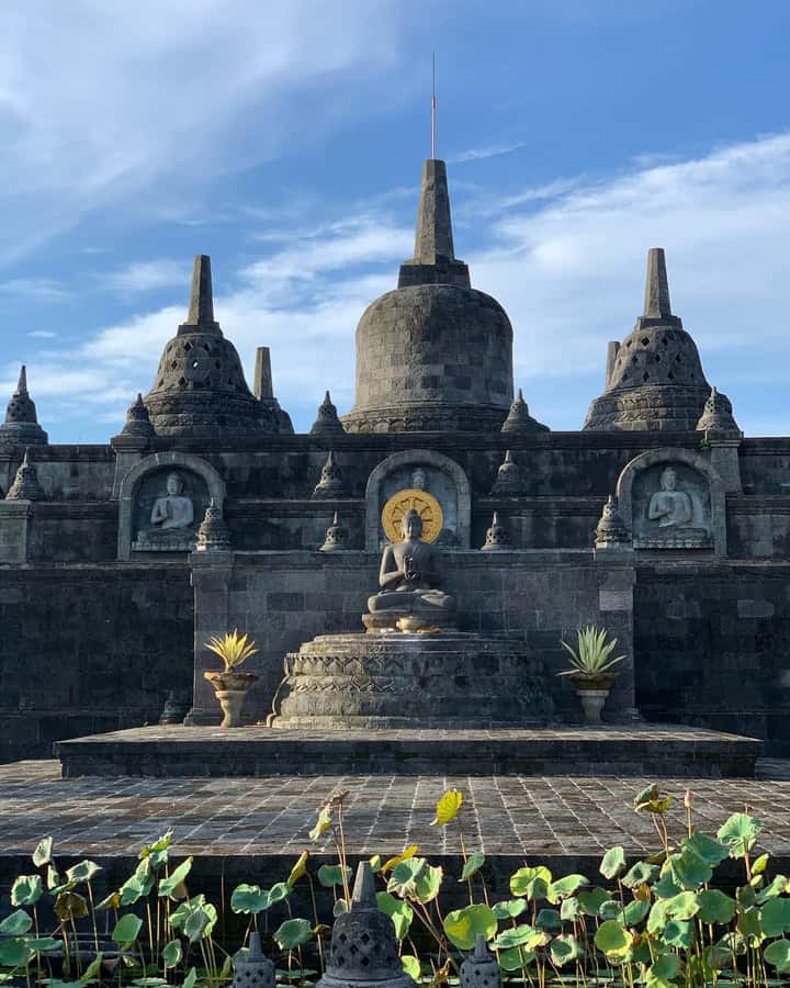 Bali: Dolphin Watching, Snorkeling, and Munduk Day Tour - Is the $85 price fair?