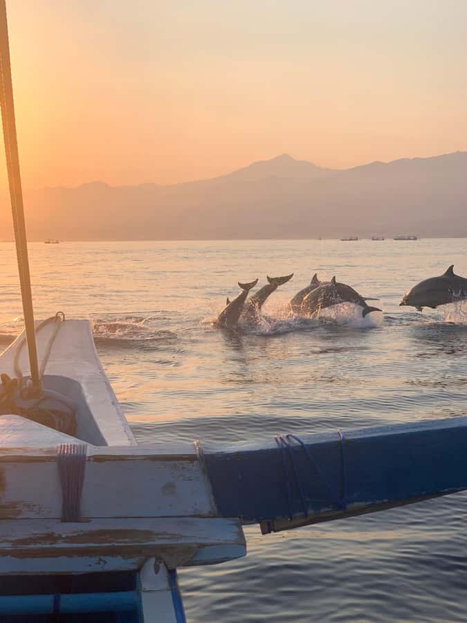 Bali: Dolphin Watching, Snorkeling, and Munduk Day Tour - Brahmavihara Arama, a quiet hour in the hills