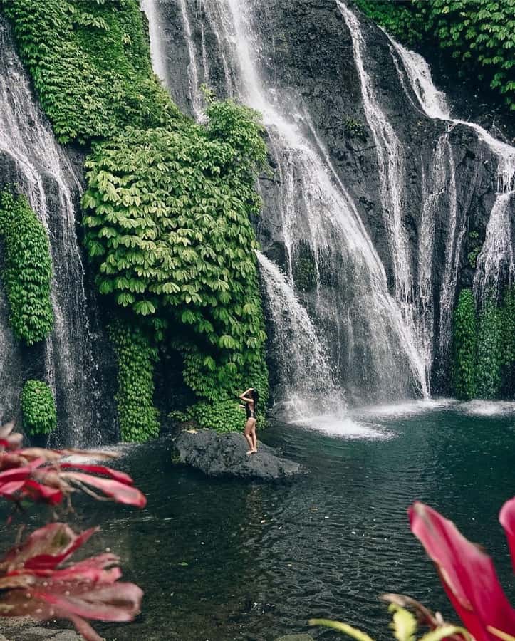 Bali: Dolphin Watching, Snorkeling, and Munduk Day Tour - The private-car advantage