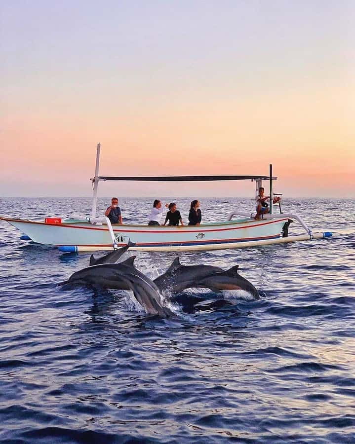 Bali: Dolphin Watching, Snorkeling, and Munduk Day Tour - The early start at Lovina Beach