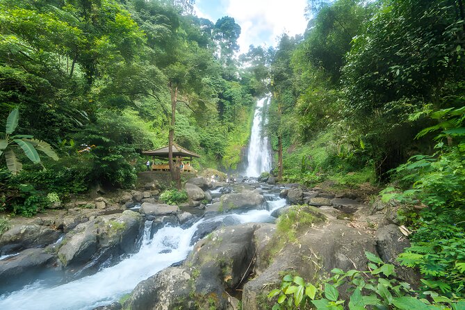 Bali Dolphin Watching Sunrise Tour in Lovina Beach - Gitgit Waterfall, a cooler inland stop