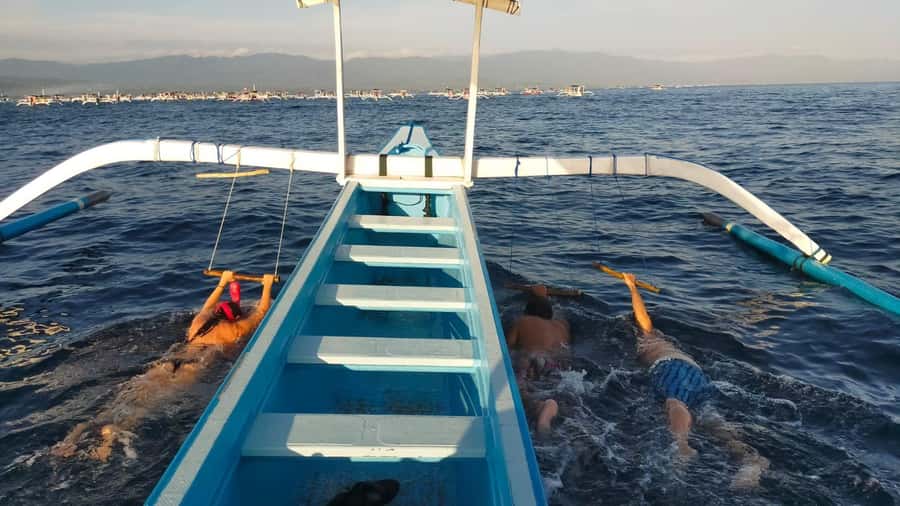 Bali: Lovina dolphin adventure with breakfast and snorkling. - Why Lovina Works for a Dolphin Morning
