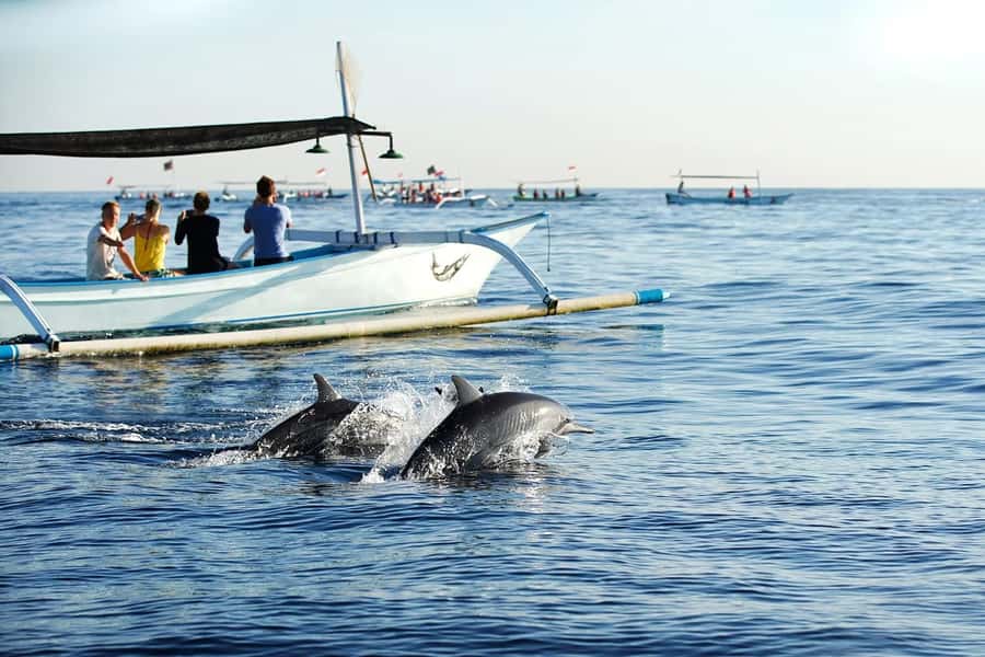 Bali: Lovina dolphin adventure with breakfast and snorkling. - Breakfast Above the Water at Sunrise