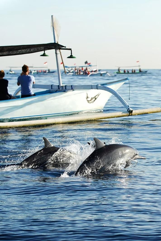 Bali: Lovina dolphin adventure with breakfast and snorkling. - Snorkeling Over Lovina’s Coral Reef