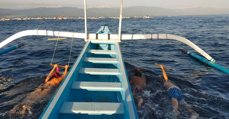 Bali: Lovina dolphin adventure with breakfast and snorkling. - Who Will Enjoy This Best