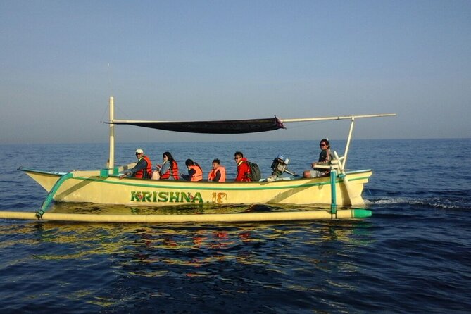 Bali Lovina Dolphin and North Bali Sightseeing - All Inclusive - Why this North Bali day is worth the early alarm