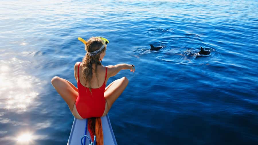 Bali/Lovina: Dolphin Snorkeling, Swimming & Waterfall Tour - Lovina before sunrise: the reason to get out of bed