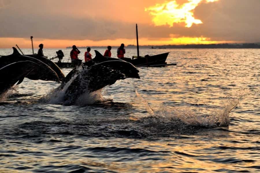 Bali/Lovina: Dolphin Snorkeling, Swimming & Waterfall Tour - Dolphin watching at Lovina Beach